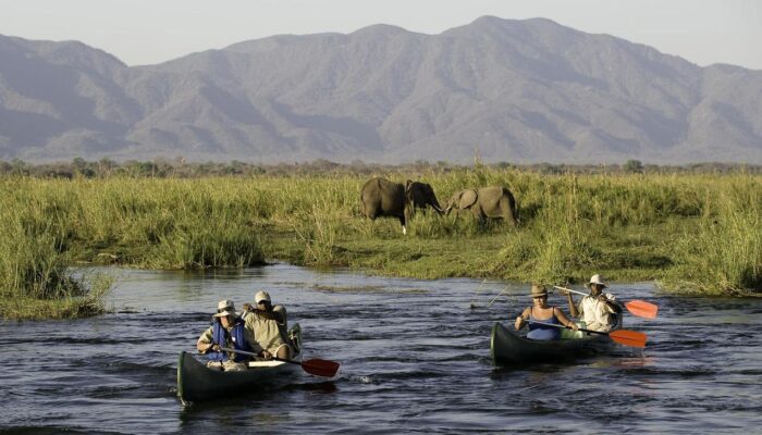 Boat Safaris