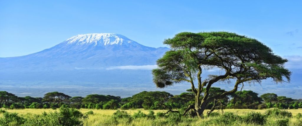 Kilimanjaro Climbing and Trekking