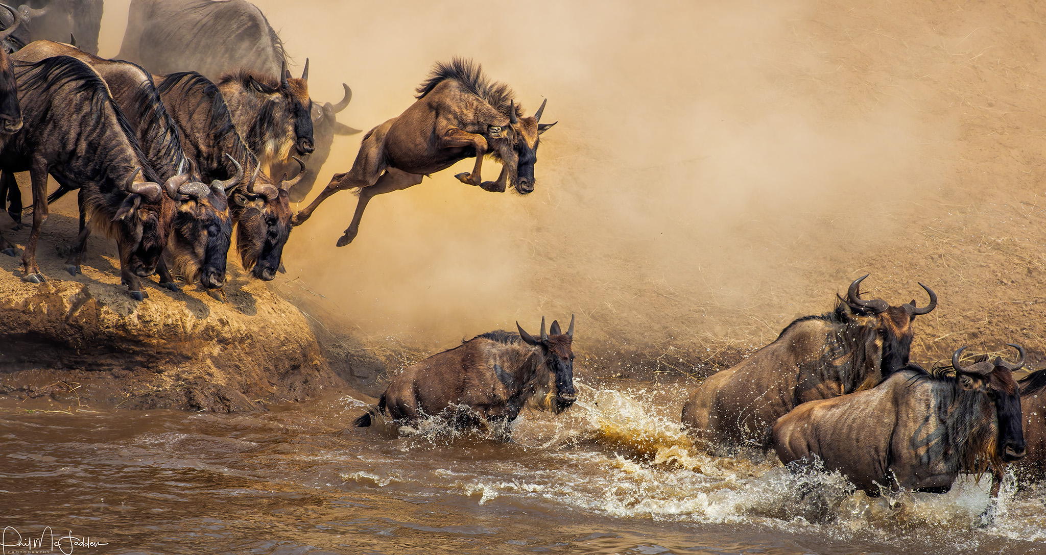 Northern Serengeti River Crossing