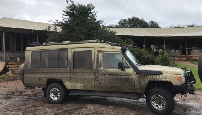 Serengeti Game drive