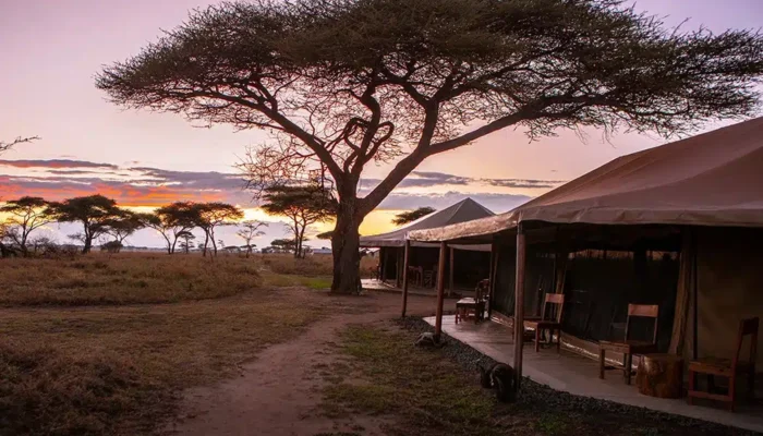 MAWE_CAMP_tented lodge