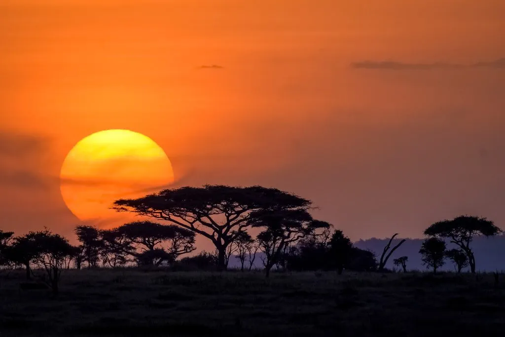Serengeti Sunset 1001