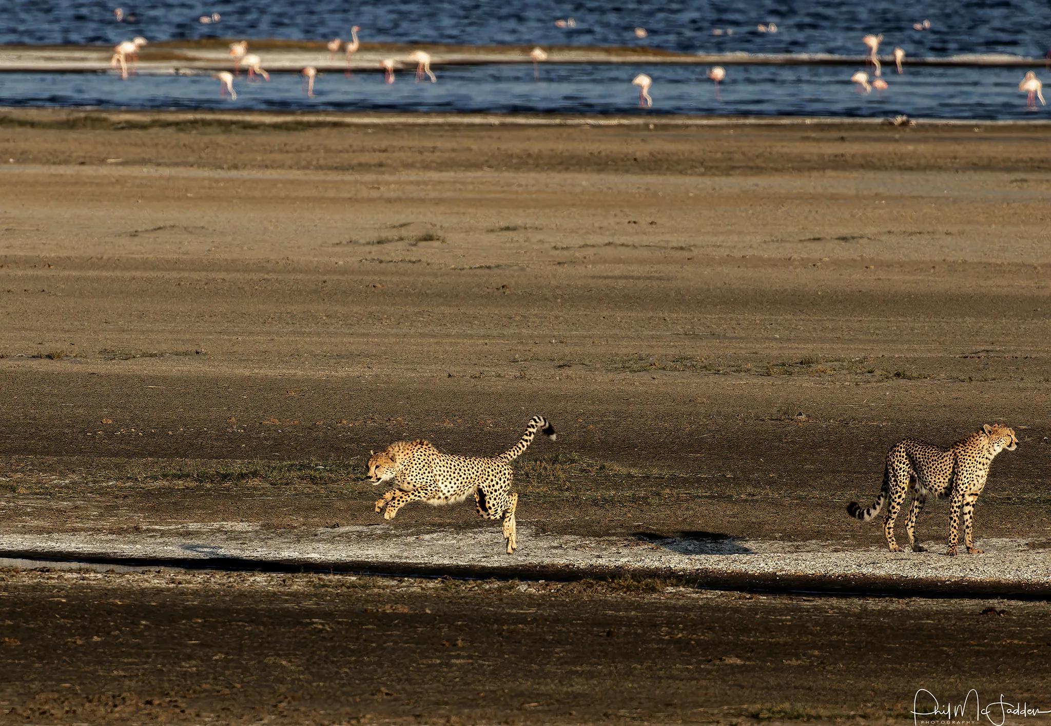 Tanzania Private Safari