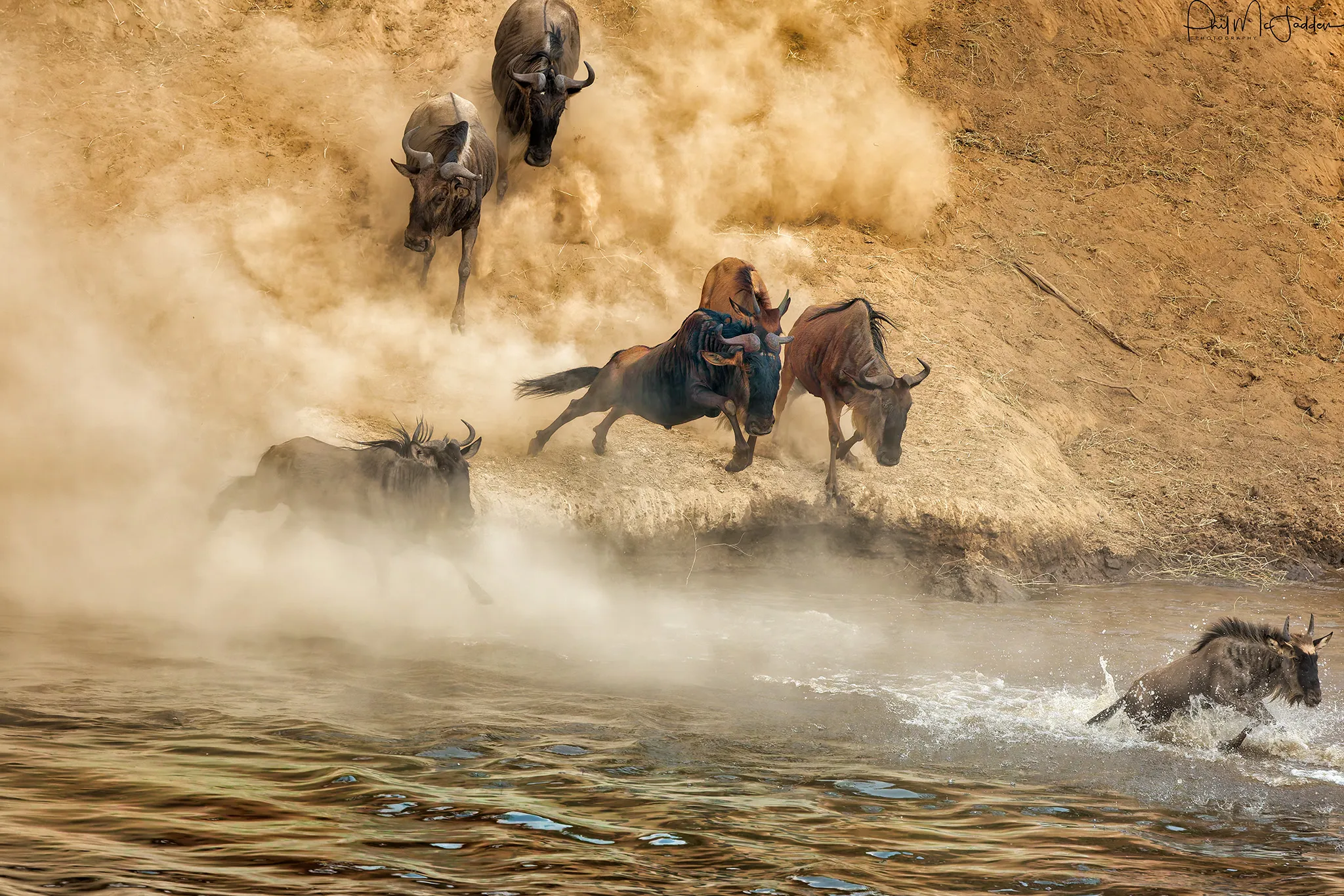 The Great wildebeest Migration - Plan Safari
