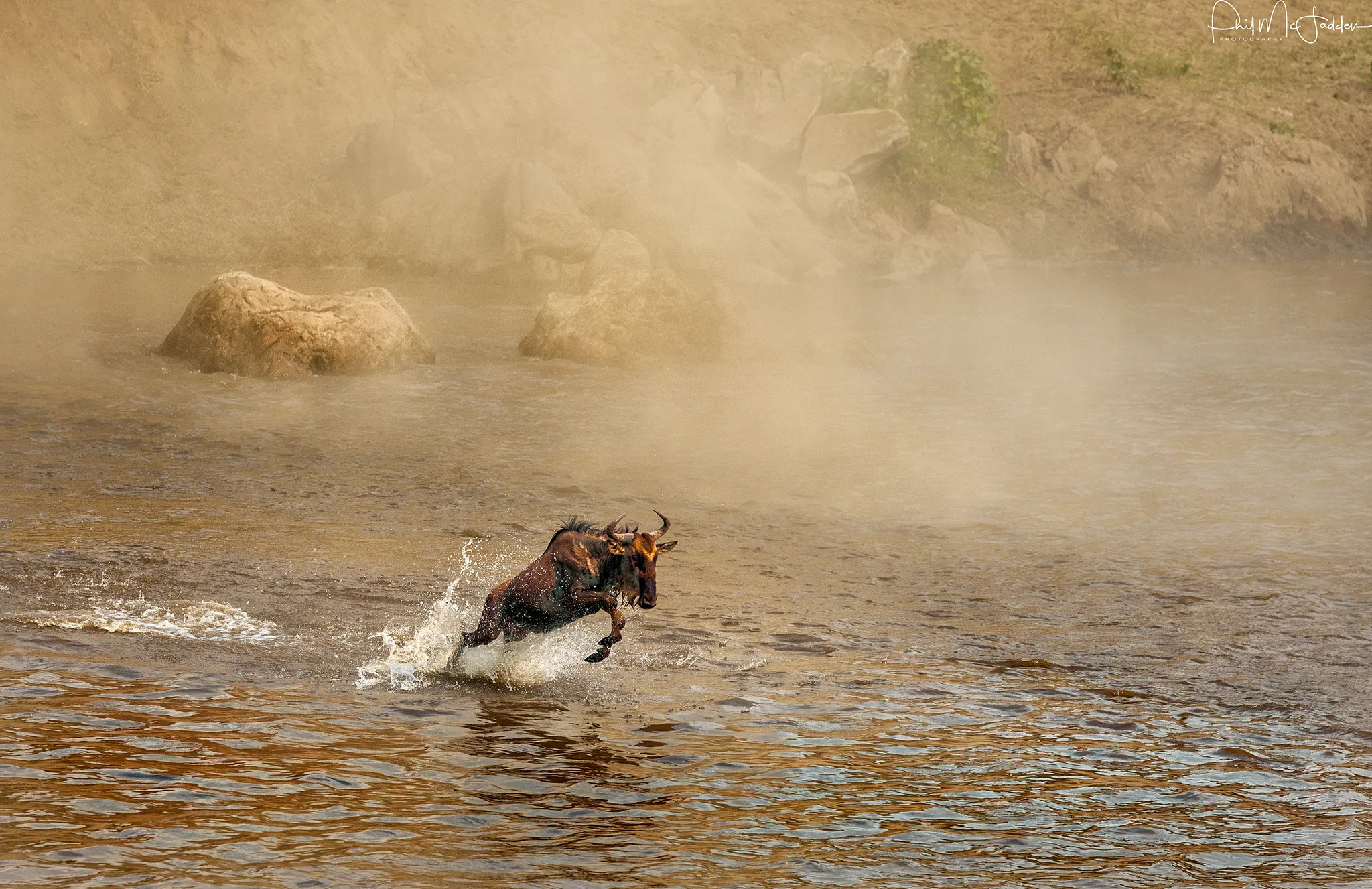 Wildebeest Migration Safari