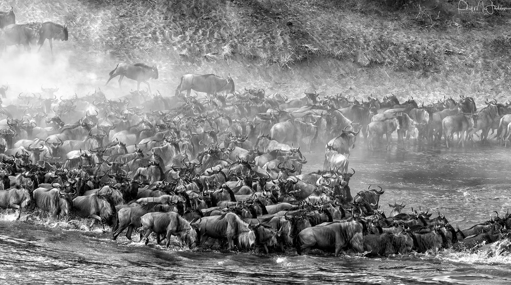 Tanzania Private Safari