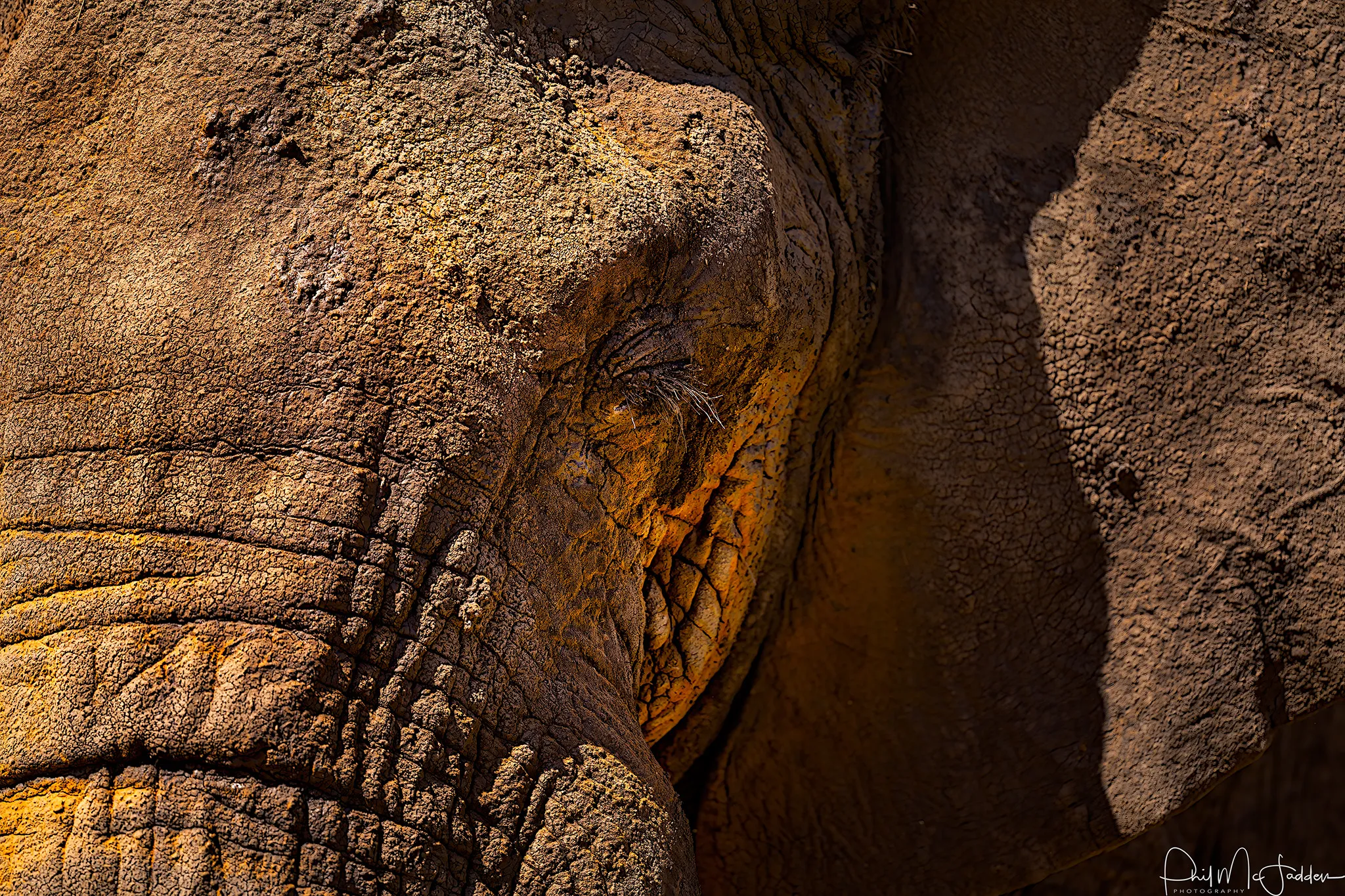 Tanzania Private Safari
