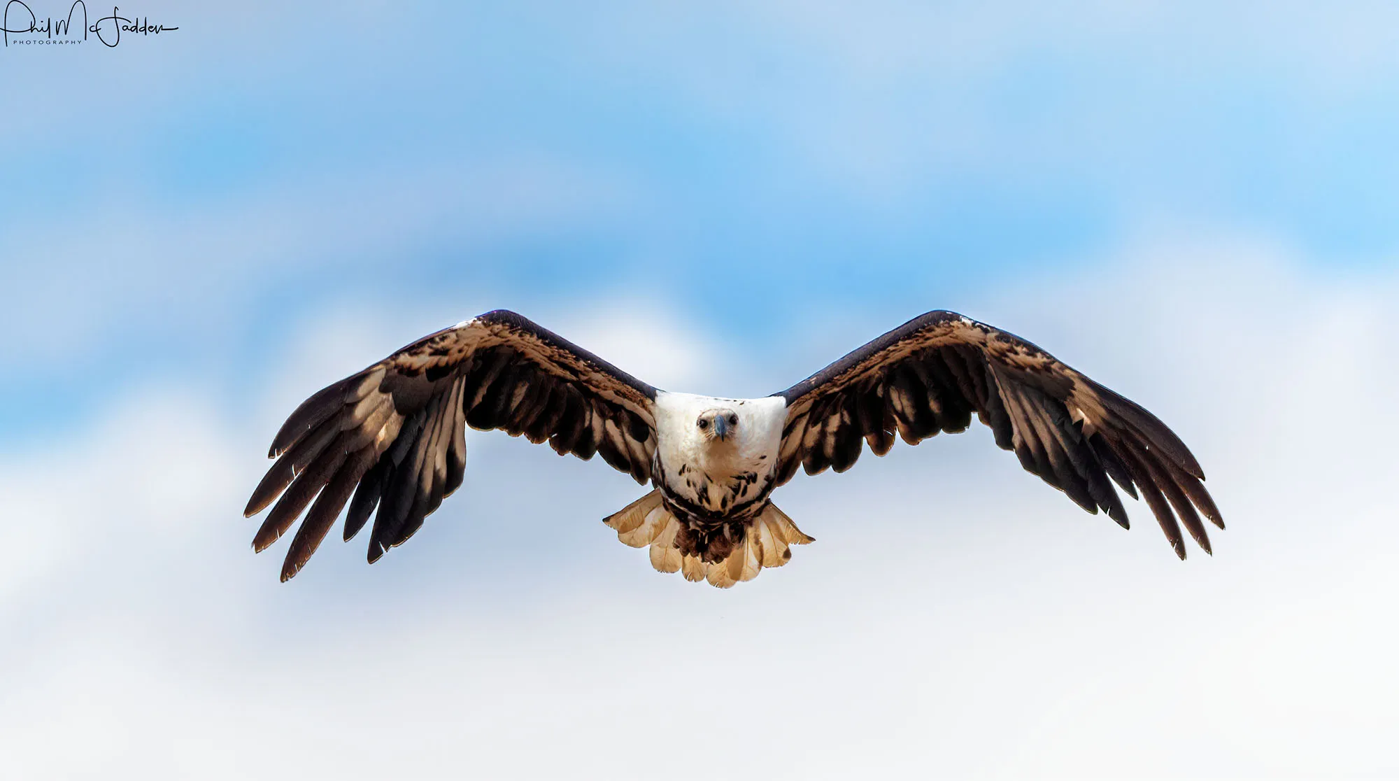 Bird watching Safari