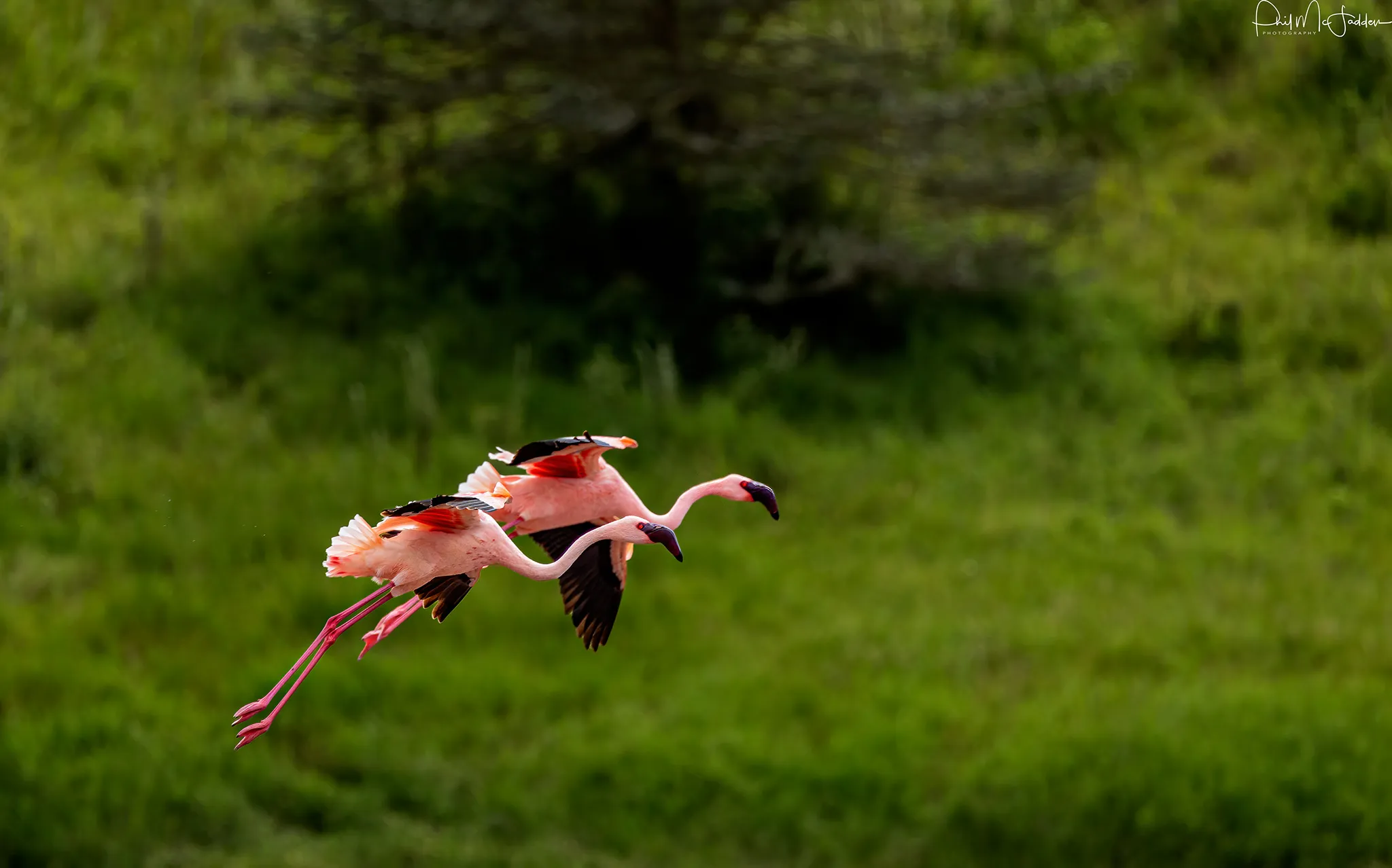 Lake Manyara