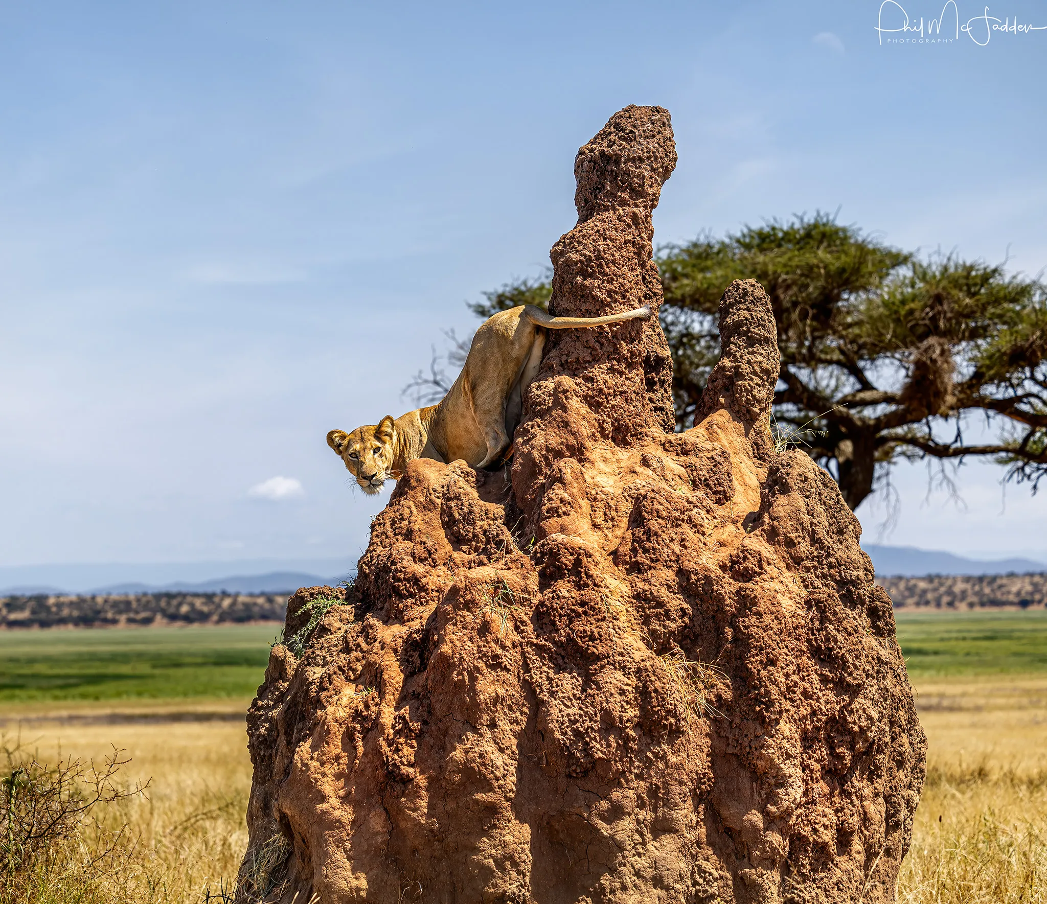 Tarangire National Park