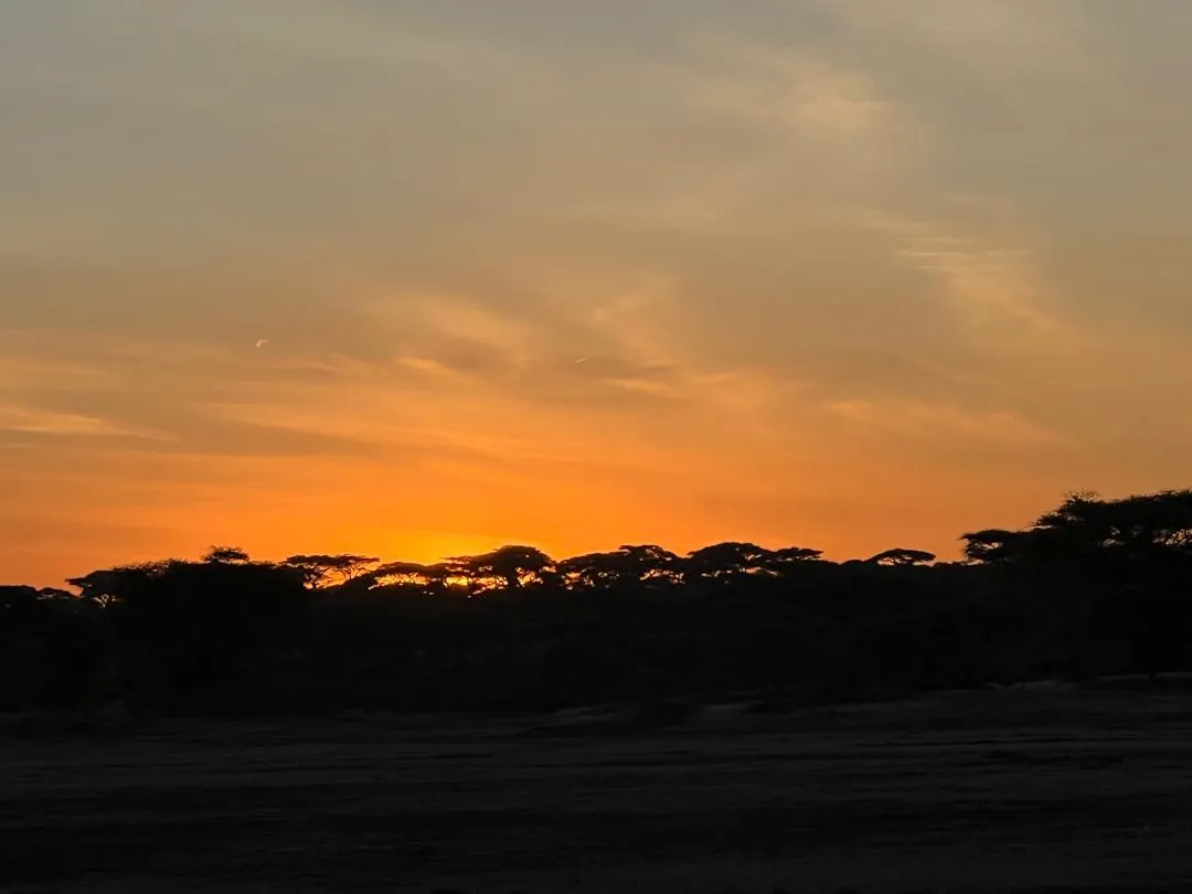 Tanzania Women Safari