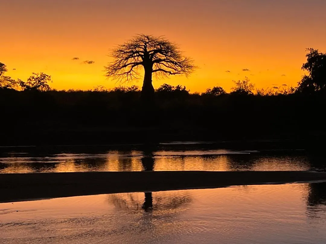 Tarangire National Park