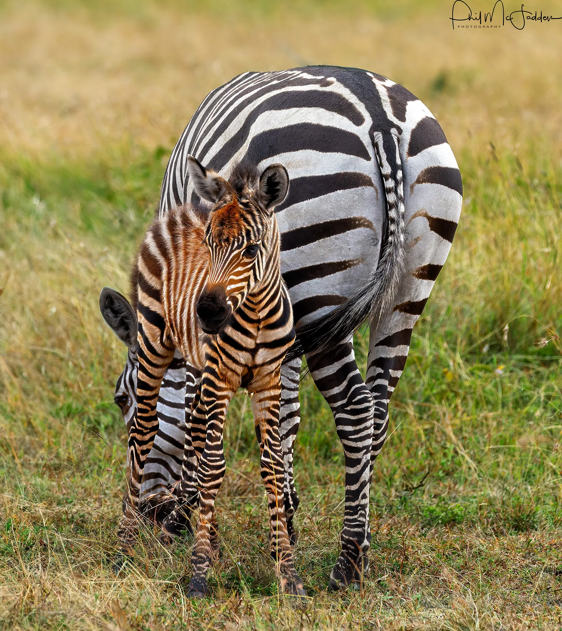 Tanzania Women Safari