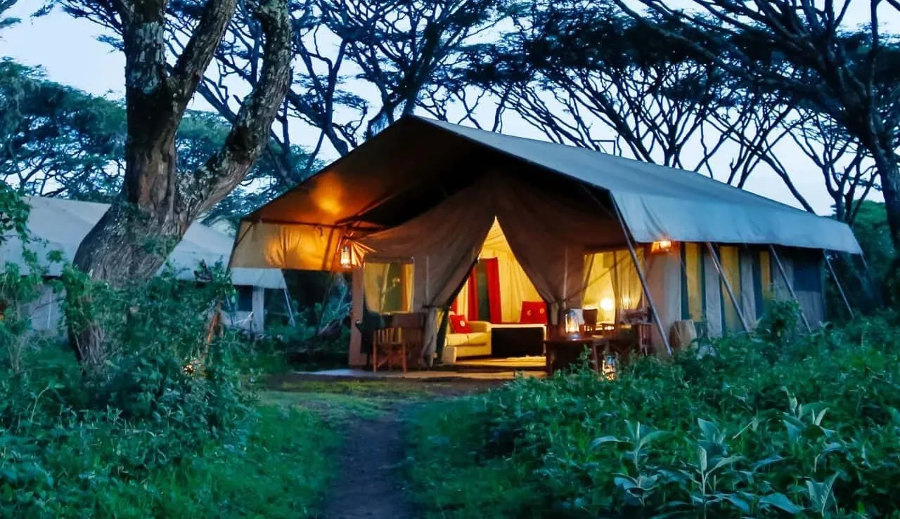 Ngorongoro Highlands