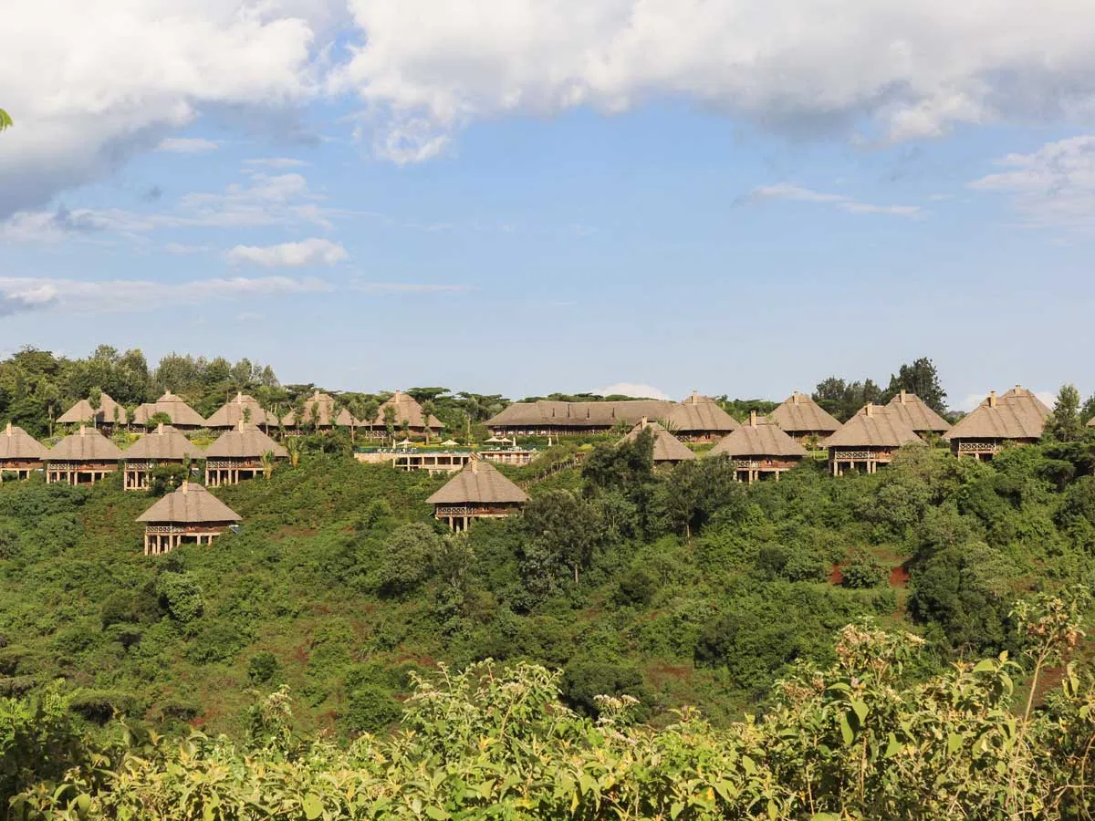 Ngorongoro Highlands