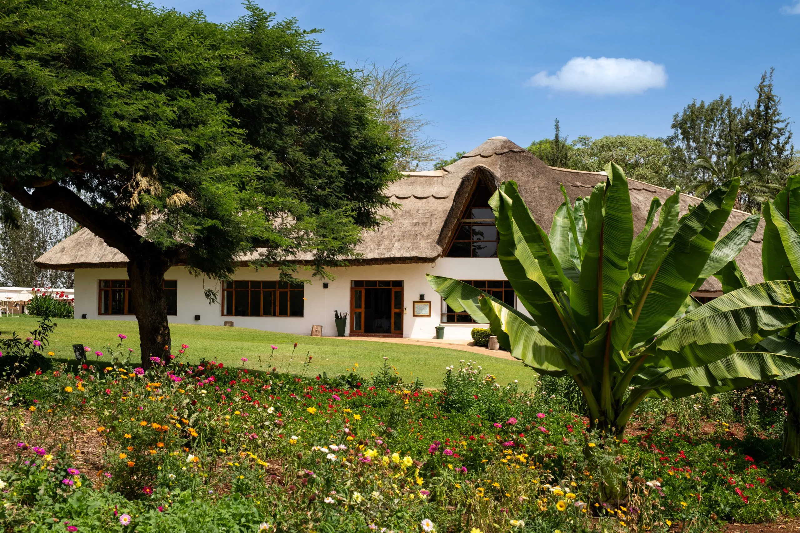 Ngorongoro Highlands