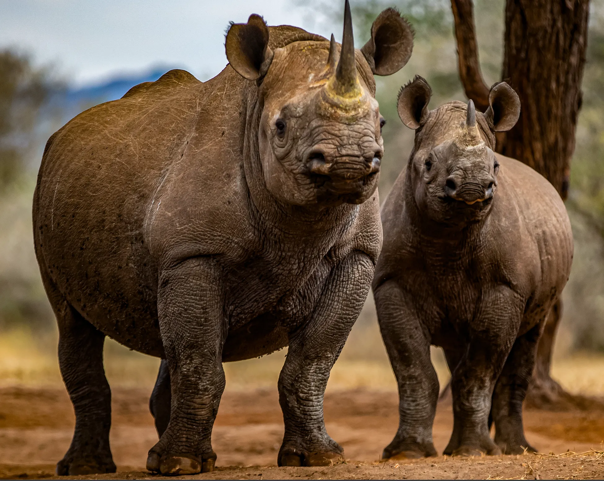 Tanzania Cultural safari